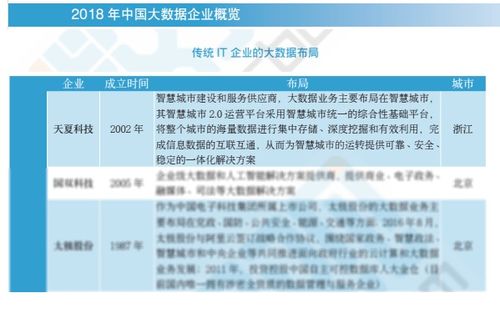 2018中國大數據企業報告出爐，天夏科技榮登IT企業大數據布局榜信息系統集成服務領域